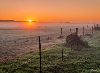Sunrise in the Overberg, Viljoenshof