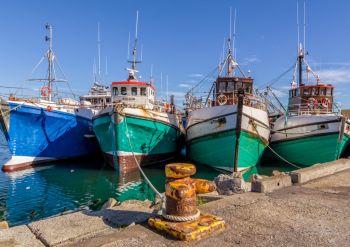4 Trawlers, Gansbaai Harbour, South Africa
