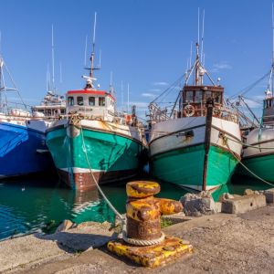 4 Trawlers, Gansbaai Harbour, South Africa