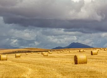 Hay Bales in the Overberg