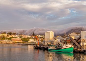 Gansbaai Fishing Harbor, Overberg, South Africa