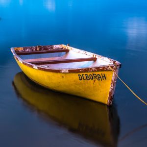 Deborah, Bokkomlaan, Veldrif, West Coast, South Africa
