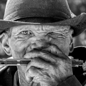 Bekfluit van die Karoo ,Sutherland, South Africa