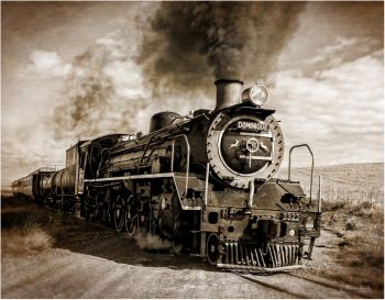 Steam Loco Dominique crossing dirt road near Jongensklip, Overberg