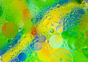 Olive Oil Drops in Color